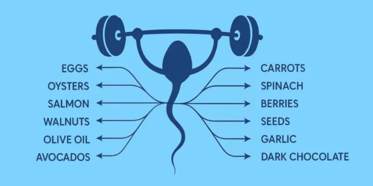 best food for male fertility