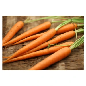 best food for male fertility