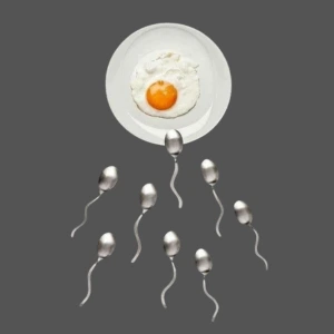 best food for male fertility