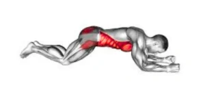 pelvic floor muscle exercise