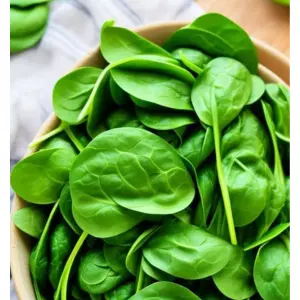 best food for male fertility