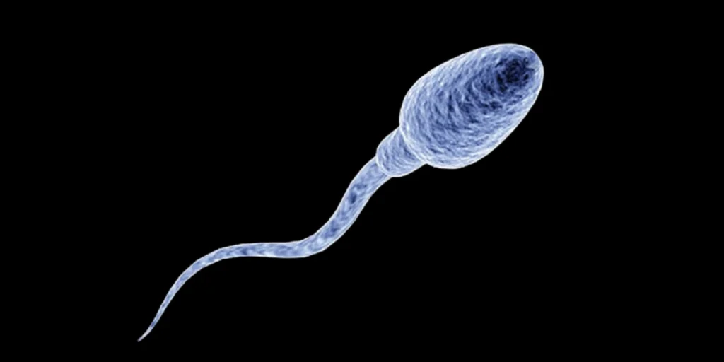 What Are Causes of Abnormal Sperm