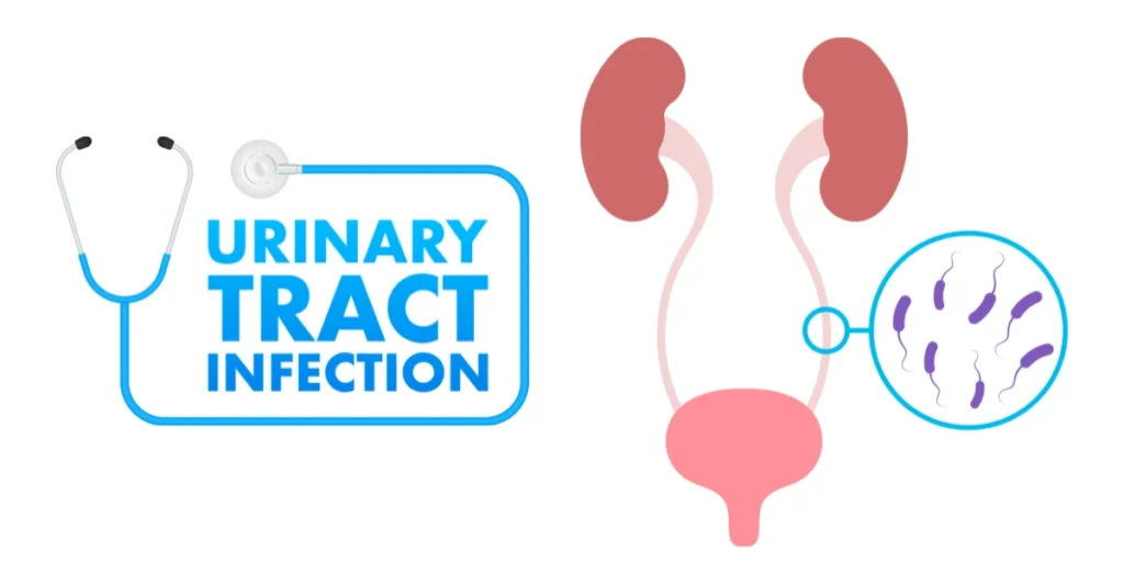 Can a UTI Affect Your Period