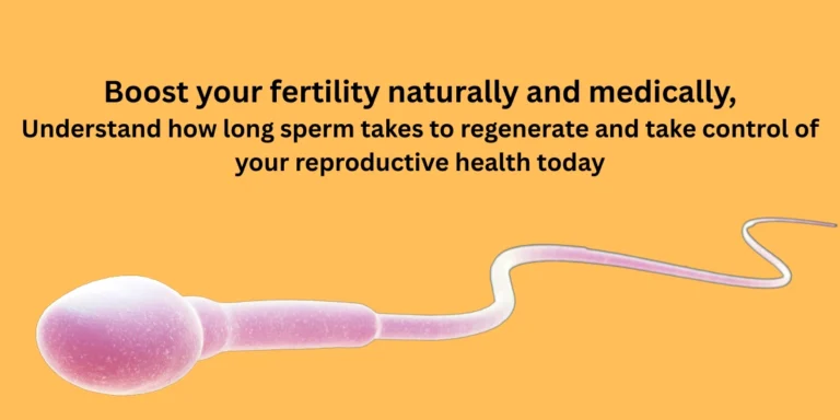 How Long Sperm Takes to Regenerate